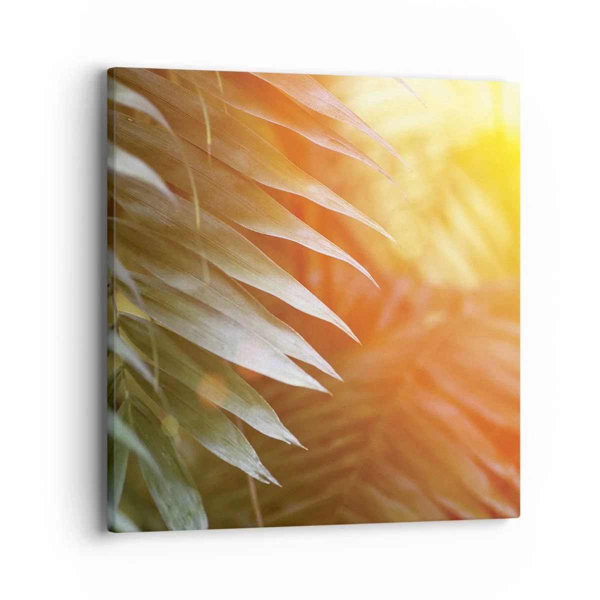 Bild auf Leinwand - Leinwandbild - Morgen im Dschungel - 40x40 cm