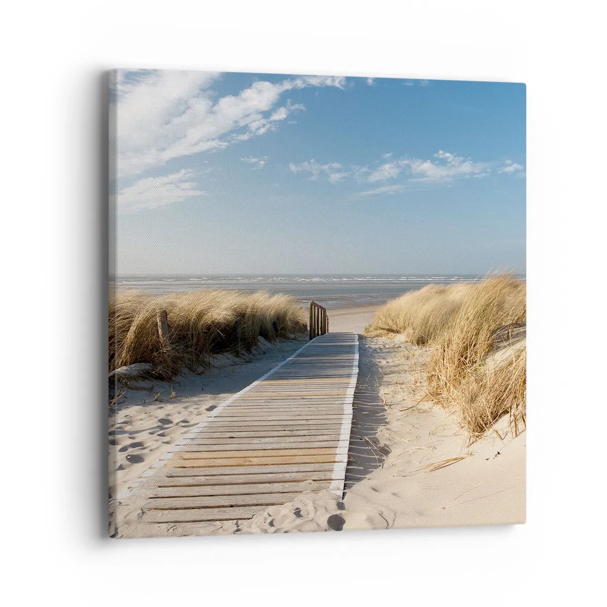 Bild auf Leinwand - Leinwandbild - Hinter der Düne, im Rauschen des Grases - 40x40 cm