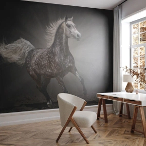 Fototapete Premium Sand - Ein laufendes Pferd auf dunklem Hintergrund mit dynamischer Wirkung. - 100x70cm - Grau ist schön - Moderne Wanddekoration für Wohnzimmer und Schlafzimmer ARTTOR