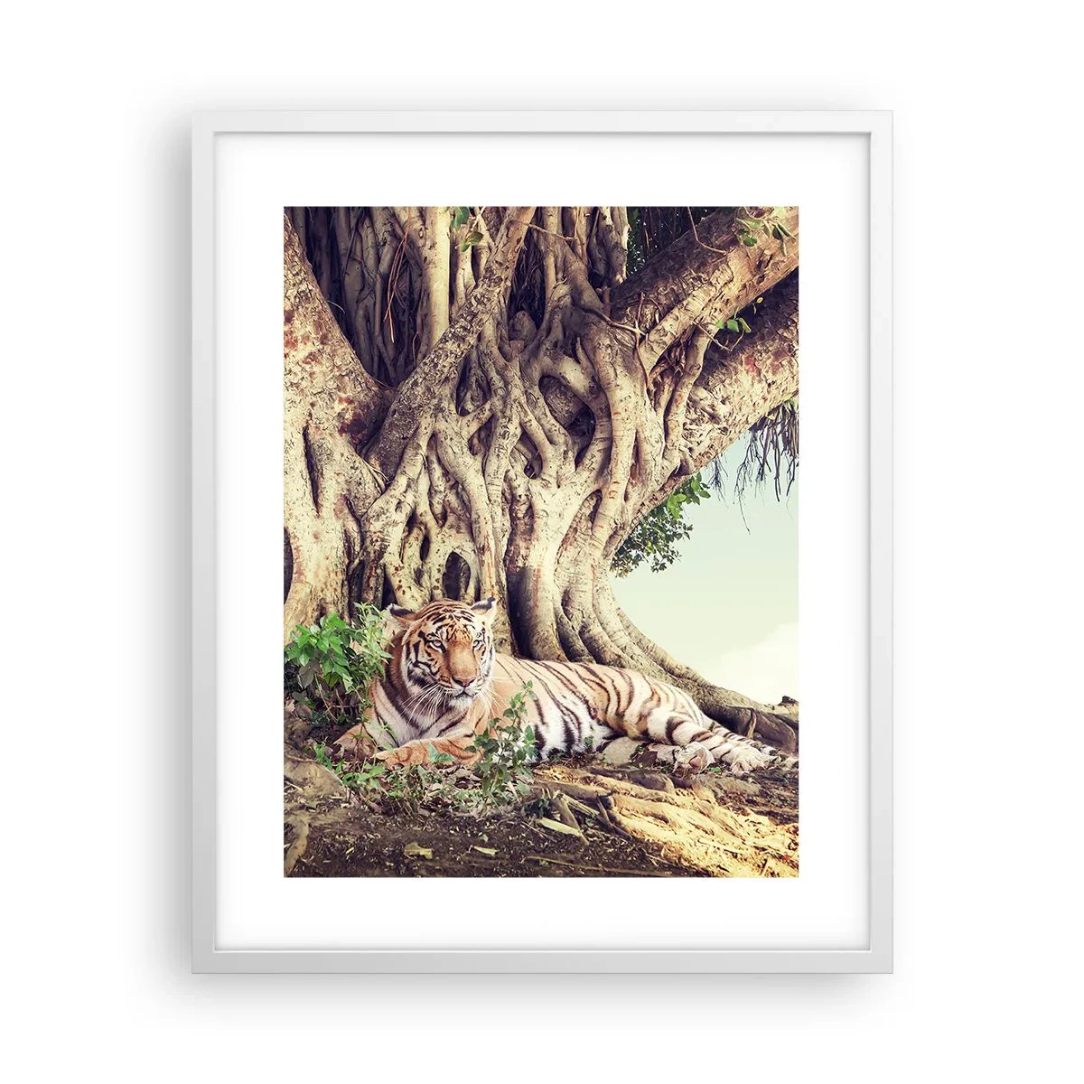 Poster in einem weißen Rahmen - Blick aus dem Buch Genesis - 40x50 cm