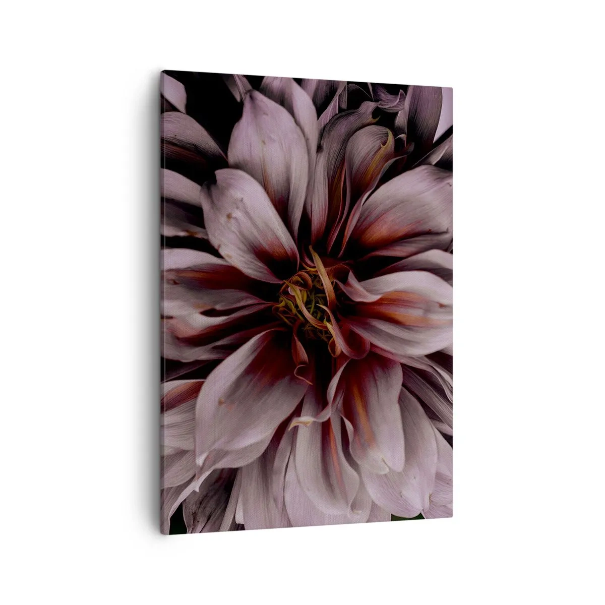 Bild auf Leinwand - Leinwandbild - Nahaufnahme einer großen Blume in dezenten Farben - 50x70cm - Ein Blumenherz - Moderne Wanddekoration für Wohnzimmer und Schlafzimmer ARTTOR