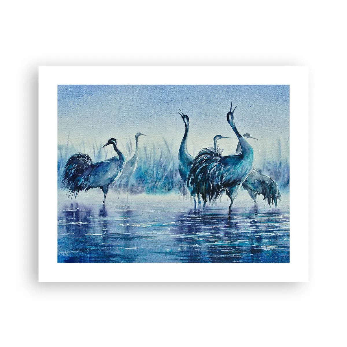 Poster - Morgentliches Treffen - 50x40 cm