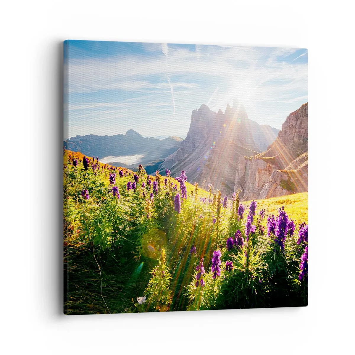 Bild auf Leinwand - Leinwandbild - Das geheime Leben der Kräuter - 40x40 cm