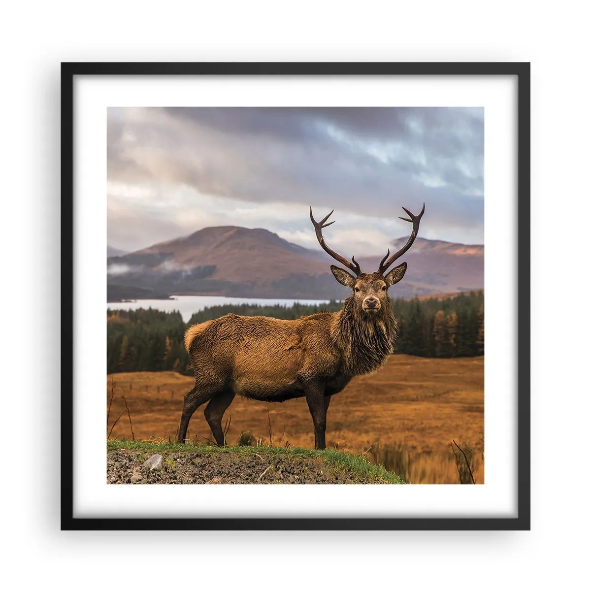 Poster in einem schwarzem Rahmen - Die Majestät der Natur - 50x50 cm