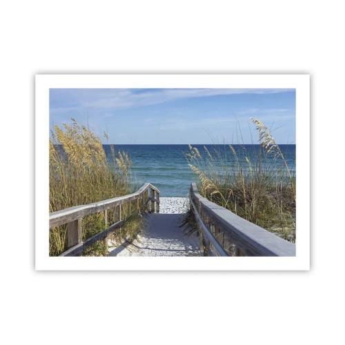 Poster - In der Sonne, im Wind - 70x50 cm