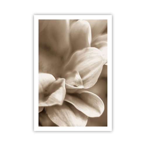 Poster - So sanft wie ein Lächeln - 61x91 cm