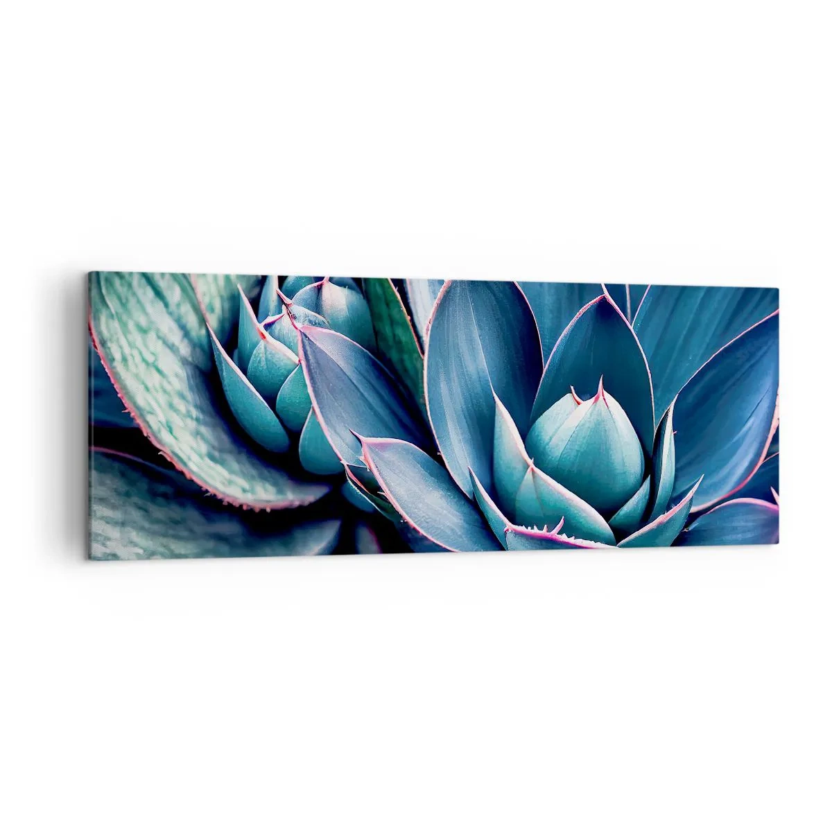 Bild auf Leinwand - Leinwandbild - Agave in Blau- und Grüntönen mit rosa Akzenten - 140x50cm - Lebenskraft - Moderne Wanddekoration für Wohnzimmer und Schlafzimmer ARTTOR