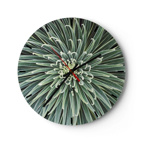 Wanduhr - Glasuhr - Eine Nahaufnahme einer symmetrischen Pflanze mit radial angeordneten Blättern. - 30x30cm - Ein Star ist geboren - Moderne Wanddekoration für Wohnzimmer, Küche und Schlafzimmer ARTTOR