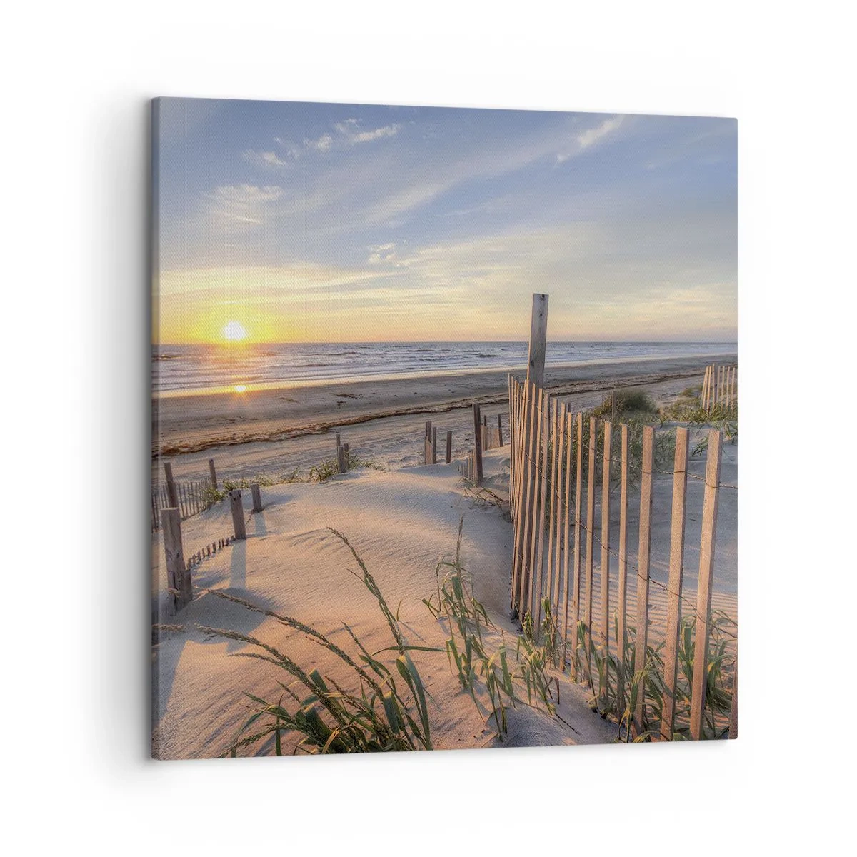 Bild auf Leinwand - Leinwandbild - Schein und Schatten des Windes - 50x50 cm