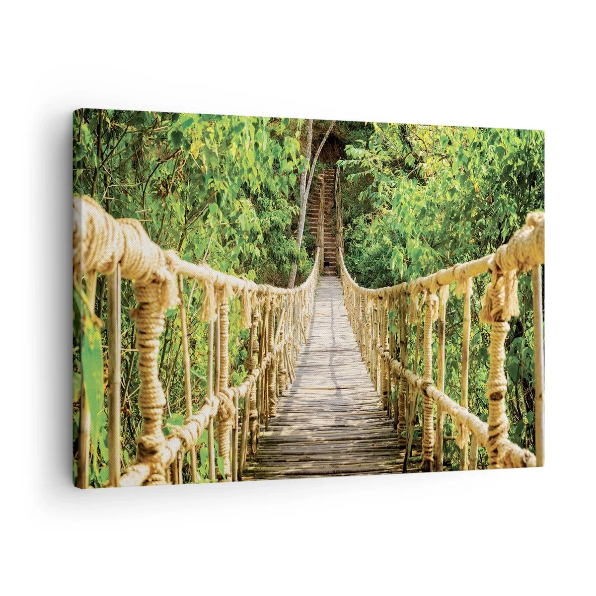 Bild auf Leinwand - Leinwandbild - Eine Hängebrücke in einem tropischen Wald voller Grün - 70x50cm - Im Grünen ausgesetzt - Moderne Wanddekoration für Wohnzimmer und Schlafzimmer ARTTOR