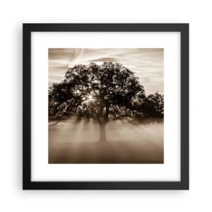 Poster in einem schwarzem Rahmen - Baum der guten Nachrichten  - 30x30 cm