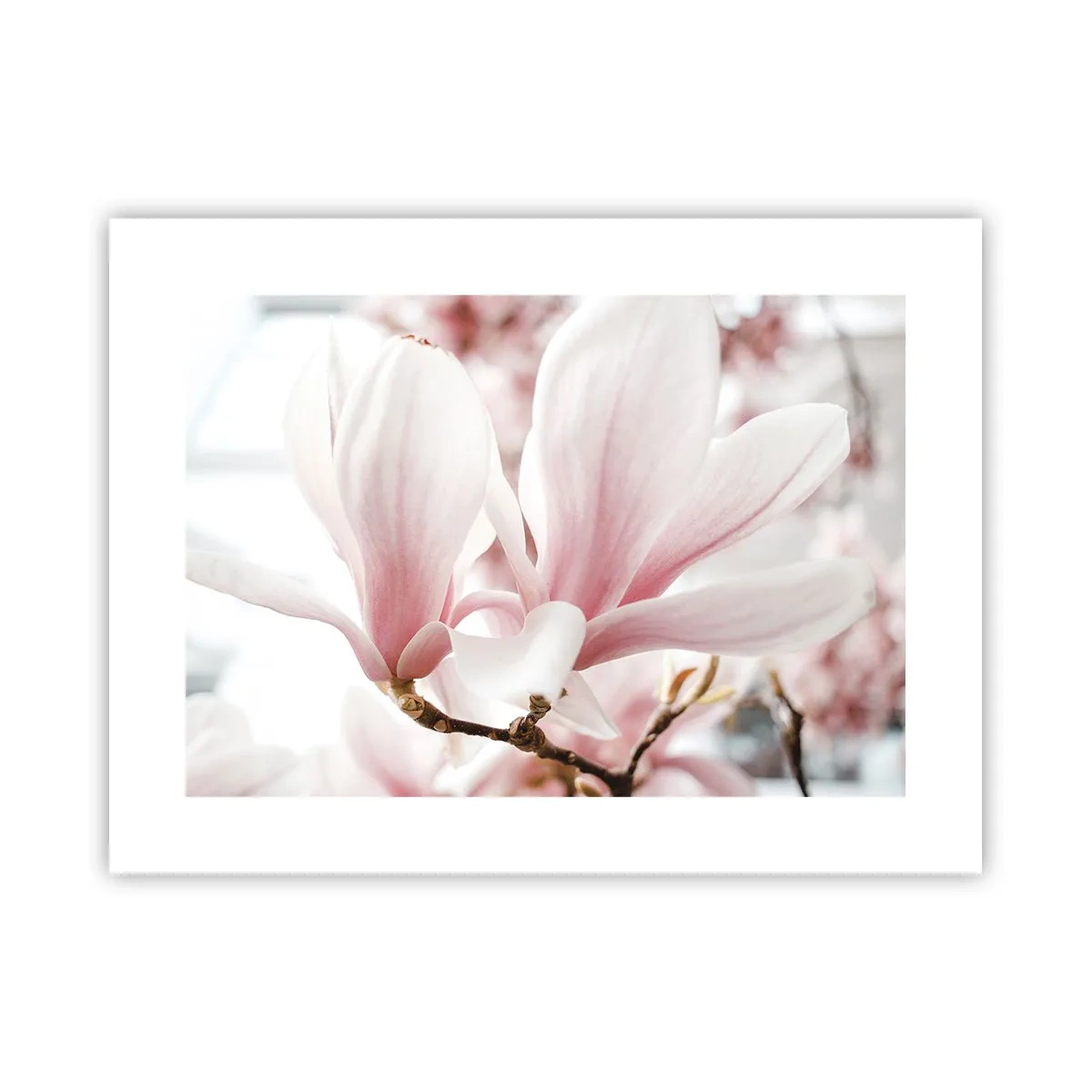 Poster - Eine Fülle von Zärtlichkeit - 40x30 cm