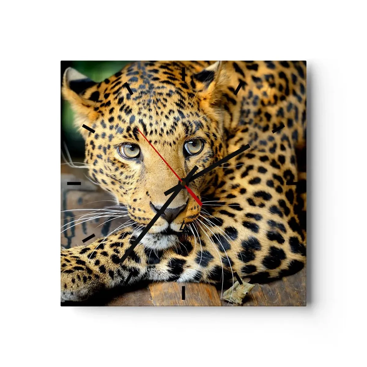 Wanduhr - Glasuhr - Porträt eines Leoparden in seiner natürlichen Umgebung - 30x30cm - Keine Angst, komm mal her - Moderne Wanddekoration für Wohnzimmer und Schlafzimmer ARTTOR