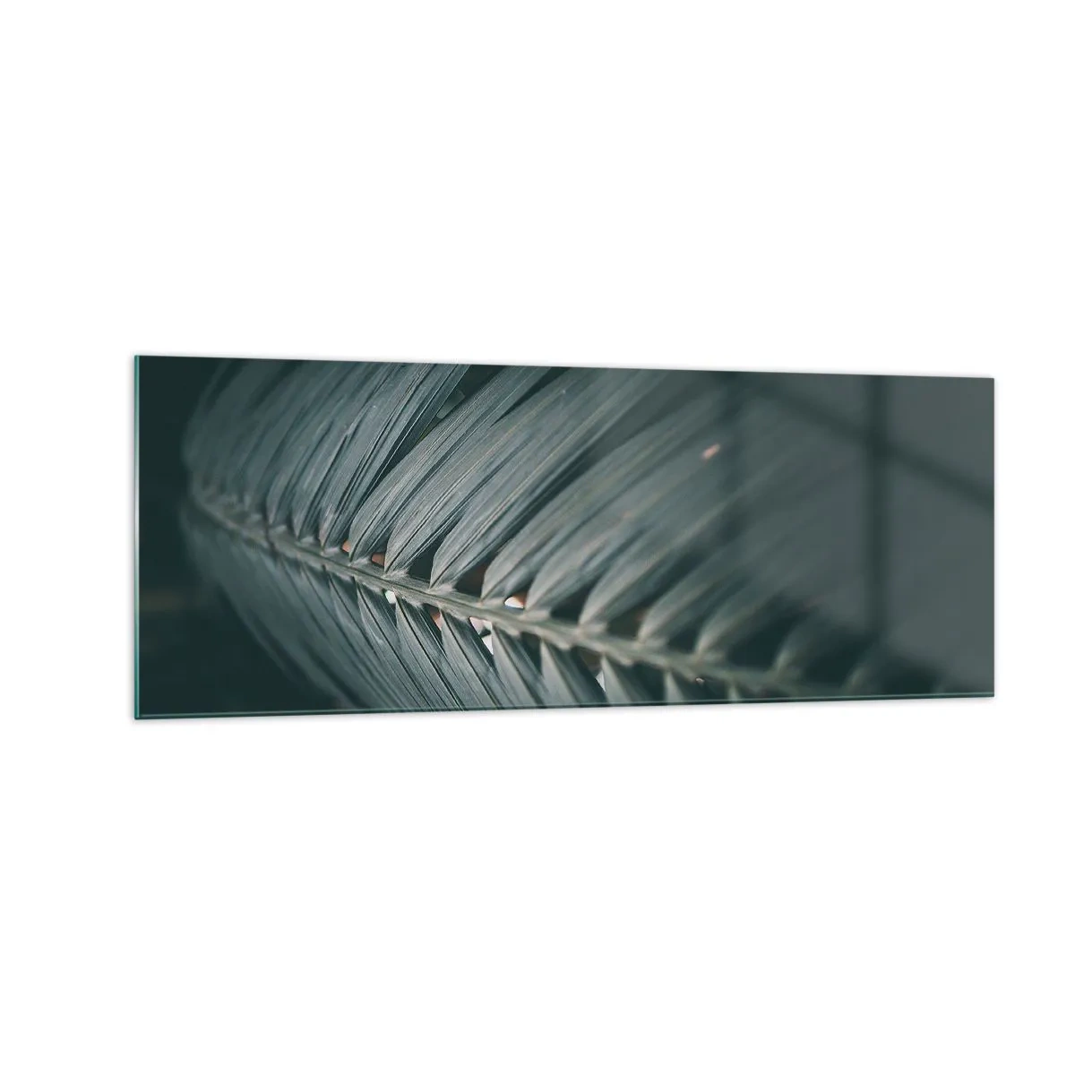 Glasbild - Bild auf glas - Nahaufnahme eines dunkel getönten Palmblattdetails - 140x50cm - Die Präzision der Natur - Moderne Wanddekoration für Wohnzimmer und Schlafzimmer ARTTOR