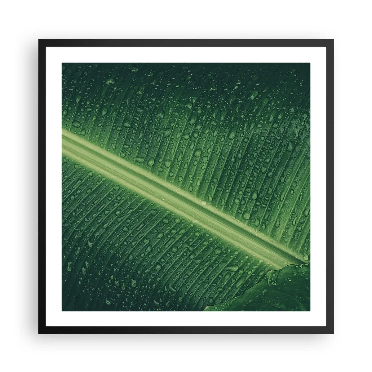Poster in einem schwarzem Rahmen - Die Struktur des Grüns - 60x60 cm
