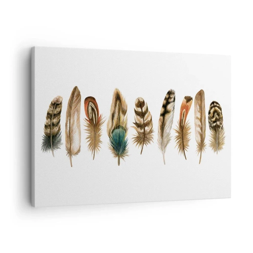 Bild auf Leinwand - Leinwandbild - Dekoratives Motiv einer Sammlung verschiedener Federn - 70x50cm - Eine federleichte Variante - Moderne Wanddekoration für Wohnzimmer und Schlafzimmer ARTTOR