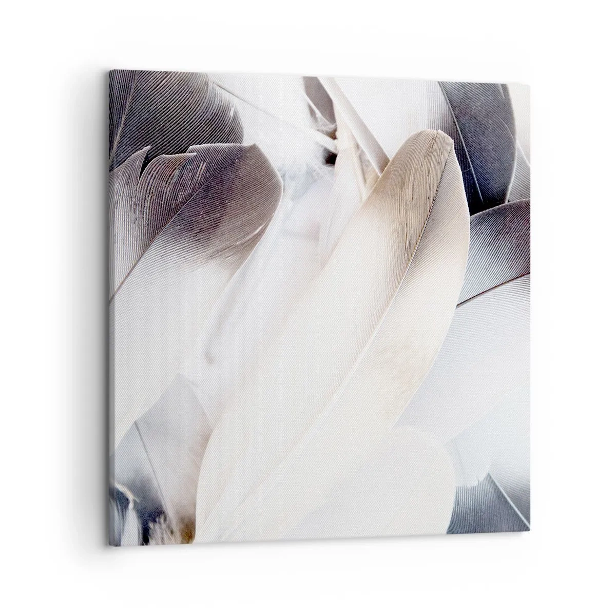 Bild auf Leinwand - Leinwandbild - Fast engelhaft - 50x50 cm