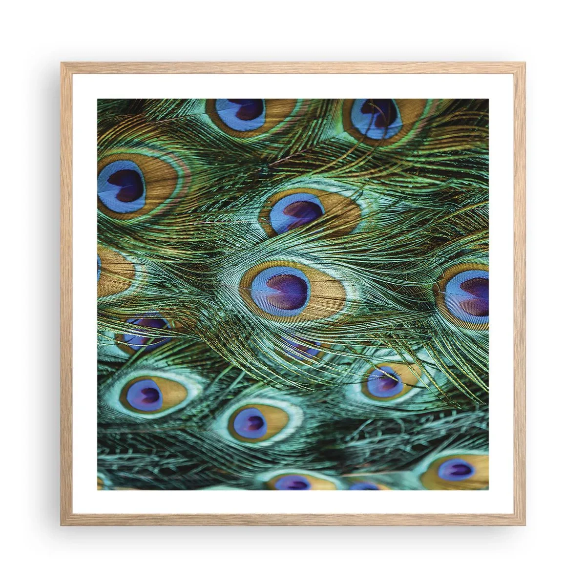 Poster in einem Rahmen aus heller Eiche - Ein Blick mit Pfauenaugen - 60x60 cm