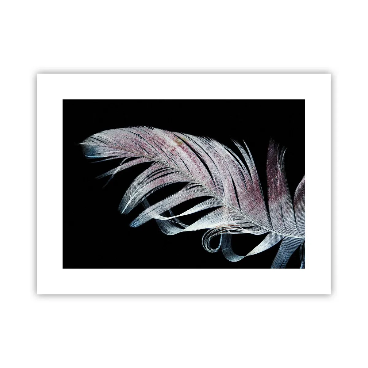 Poster - Denke an Berührung - 40x30 cm