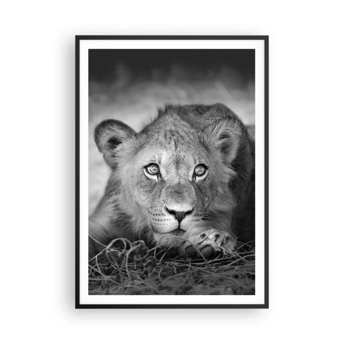 Poster in einem schwarzem Rahmen - Königlicher Welpe - 70x100 cm