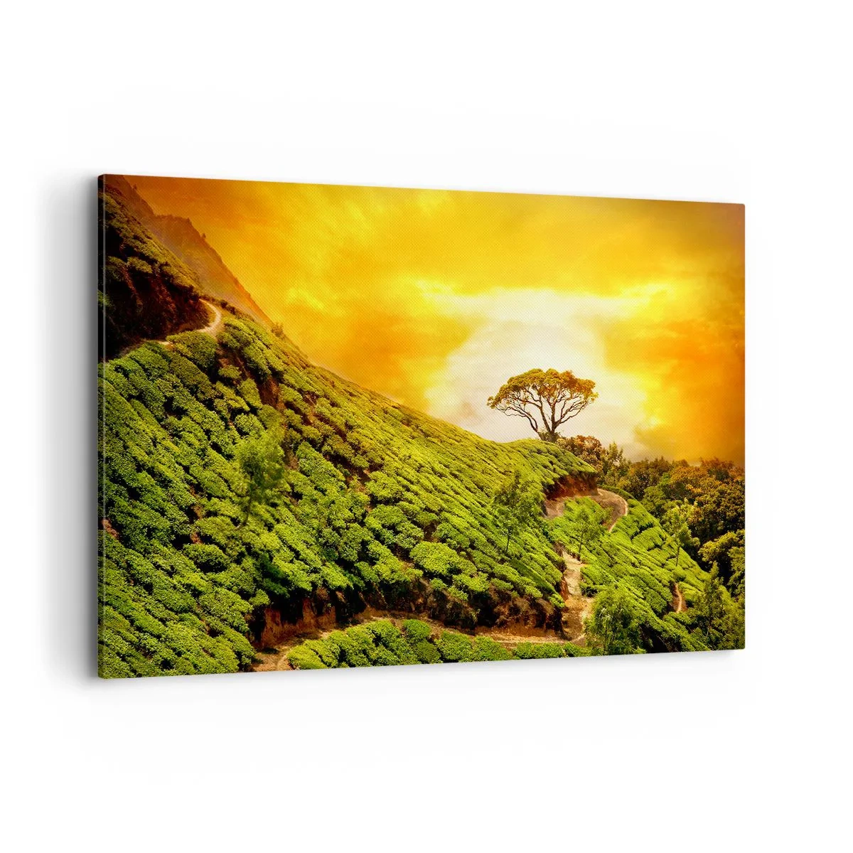Bild auf Leinwand - Leinwandbild - Grüne Hügel mit Teeplantagen bei Sonnenuntergang - 120x80cm - Ein gewundener Weg, ein grüner Hang - Moderne Wanddekoration für Wohnzimmer und Schlafzimmer ARTTOR
