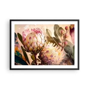 Poster in einem schwarzem Rahmen - Bunte Protea-Blüten auf zartem Hintergrund - 70x50cm - Zärtlich umarmt - Moderne Wanddekoration für Wohnzimmer und Schlafzimmer ARTTOR