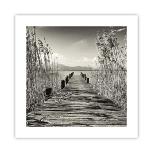 Poster - In der Stille des Grases - 40x40 cm