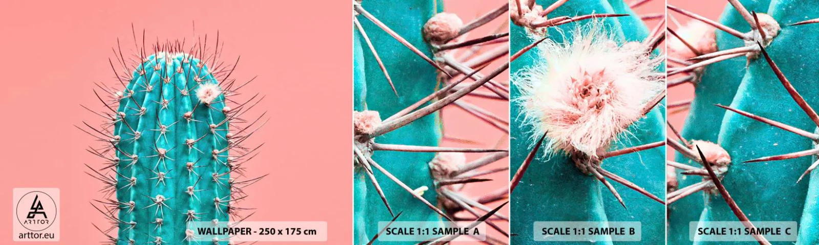 Fototapetenmuster Standard Eco - Schau einfach hin - Kaktus, Pastell, Minimalismus - 100x30 cm