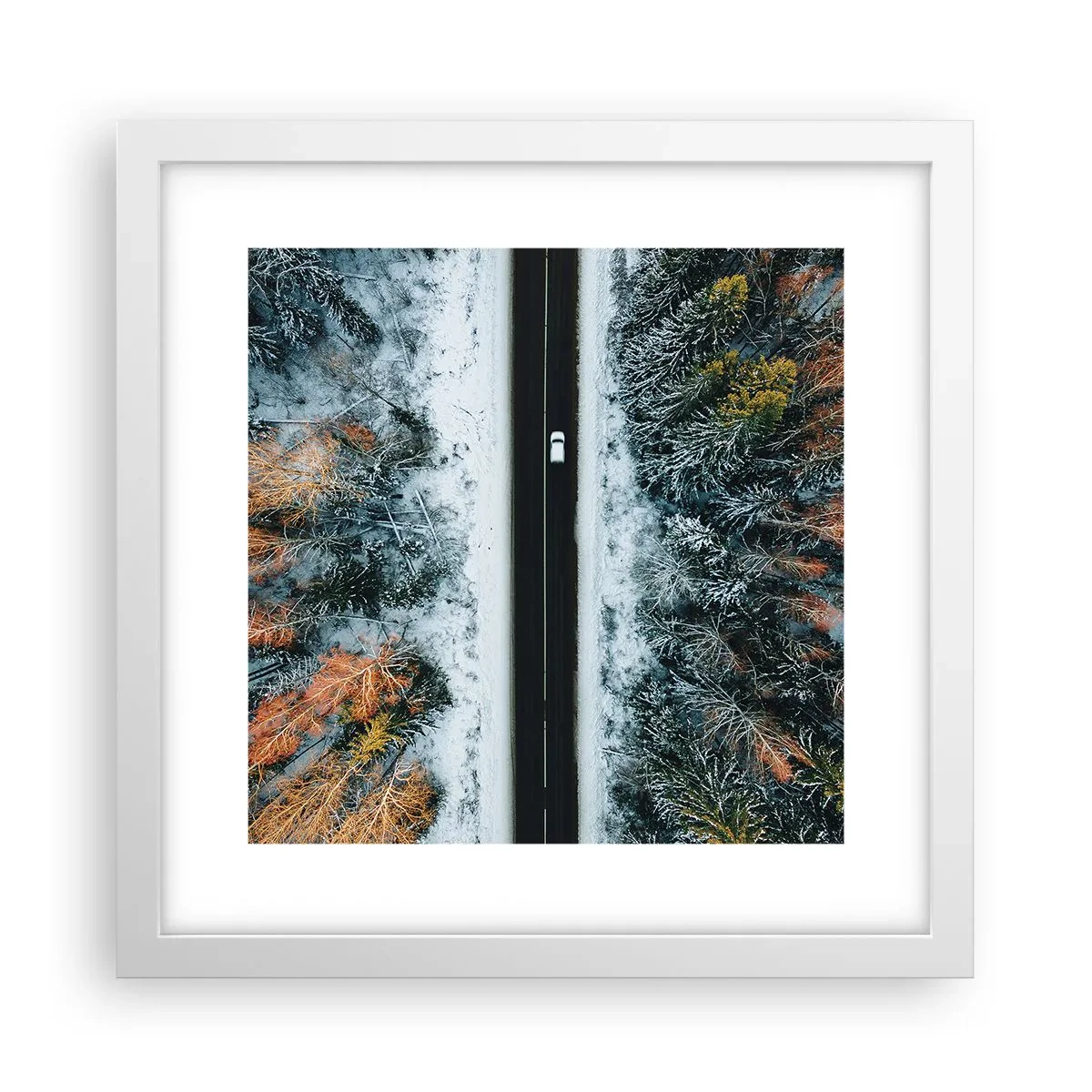 Poster in einem weißen Rahmen - Schnitt durch den Winterwald - 30x30 cm