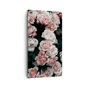 Bild auf Leinwand - Leinwandbild - Rosen-Ensemble - 45x80 cm