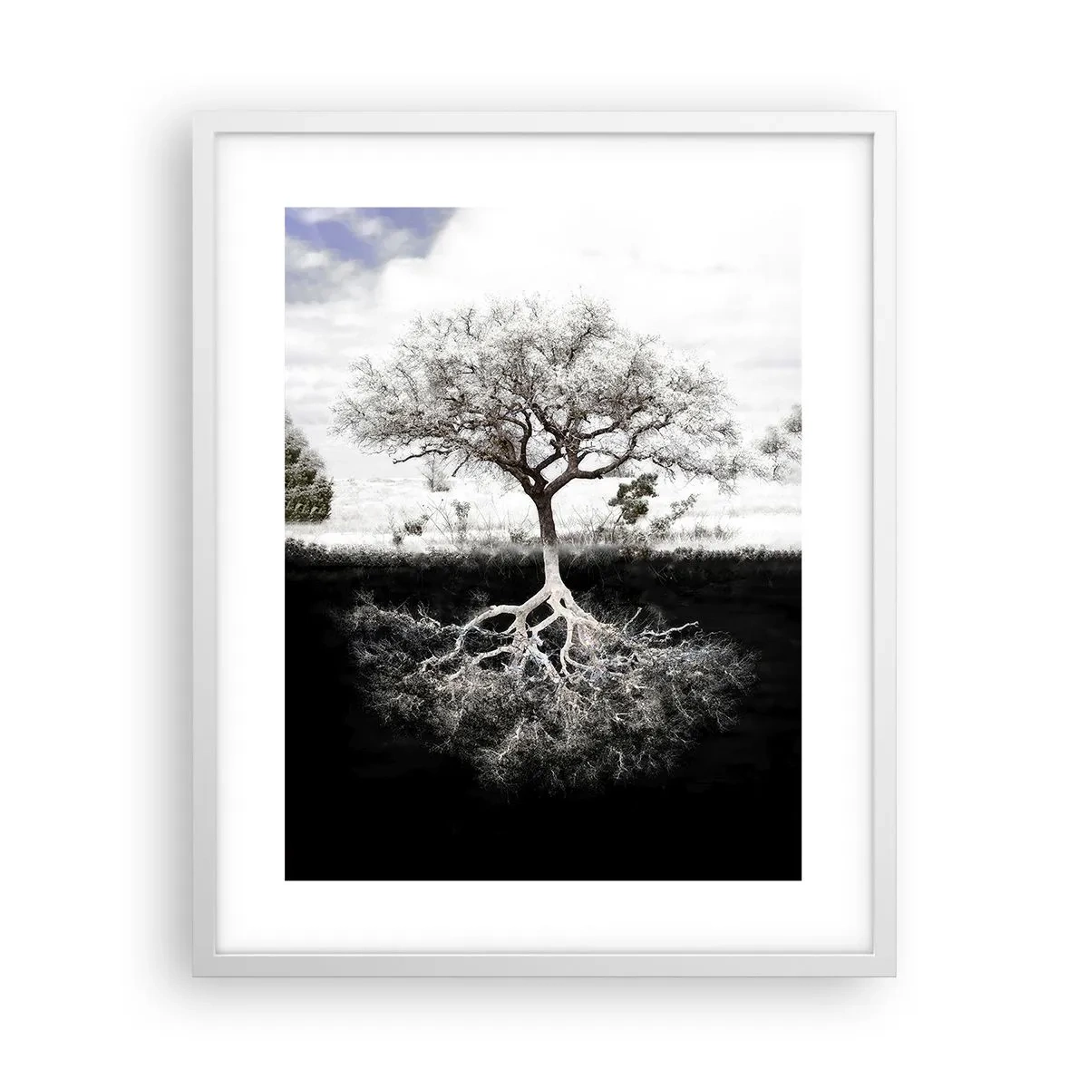 Poster in einem weißen Rahmen - Die Natur der Welt entdecken - 40x50 cm