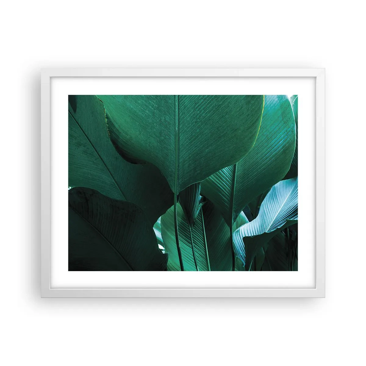 Poster in einem weißen Rahmen - Dem Licht zugewandt - 50x40 cm