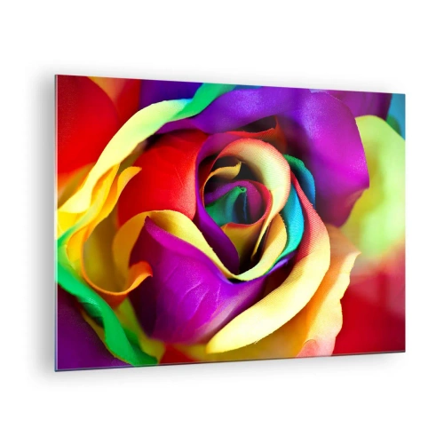 Glasbild - Bild auf glas - Eine bunte Rose in Regenbogenfarben - 70x50cm - Es ist unmöglich - Moderne Wanddekoration für Wohnzimmer und Schlafzimmer ARTTOR