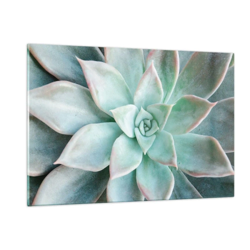 Glasbild - Bild auf glas - Trockene, saftige Blätter mit einem zarten, graugrünen Farbton - 120x80cm - Das Herz der Wüste - Moderne Wanddekoration für Wohnzimmer und Schlafzimmer ARTTOR