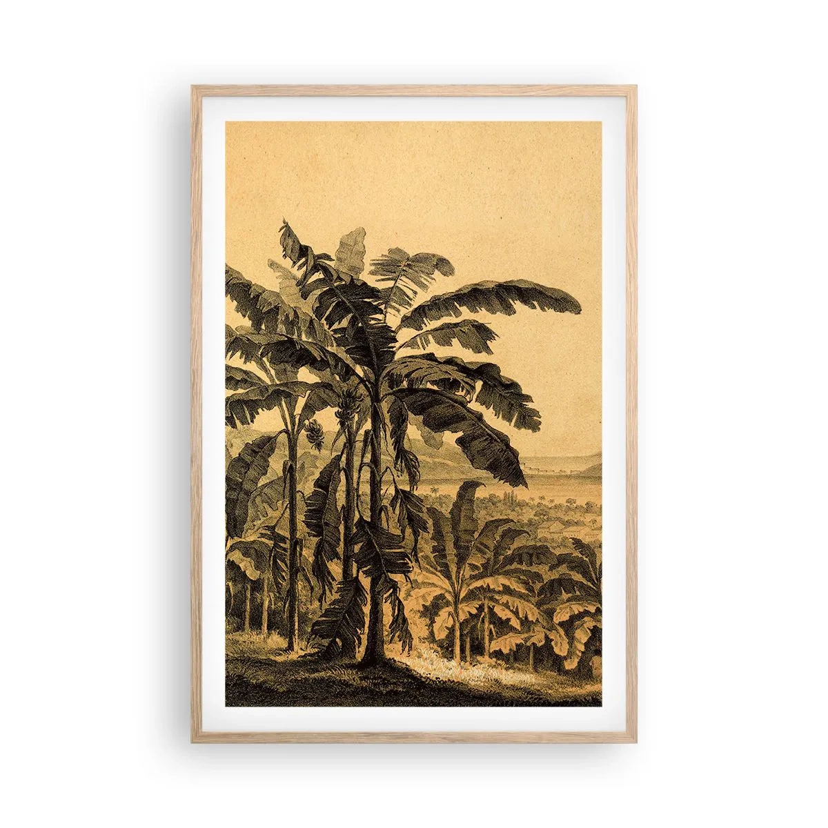 Poster in einem Rahmen aus heller Eiche - in einem kolonialen Klima - 61x91 cm