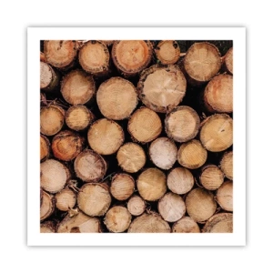 Poster - Ein neuer Anfang - 60x60 cm