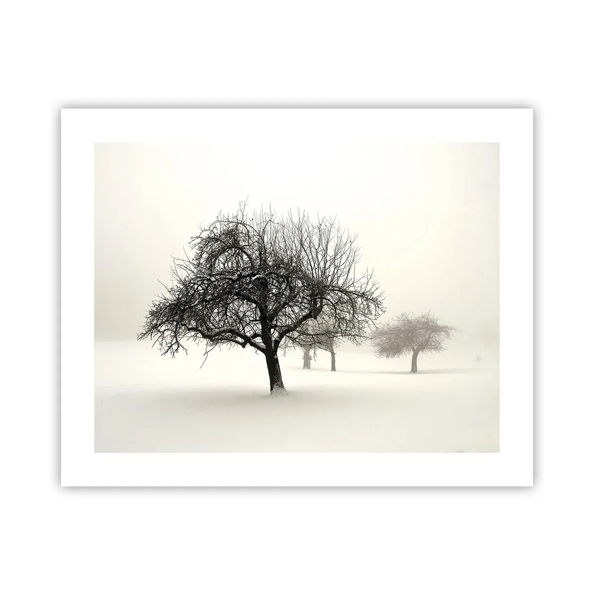 Poster - Winterschlaf - 50x40 cm