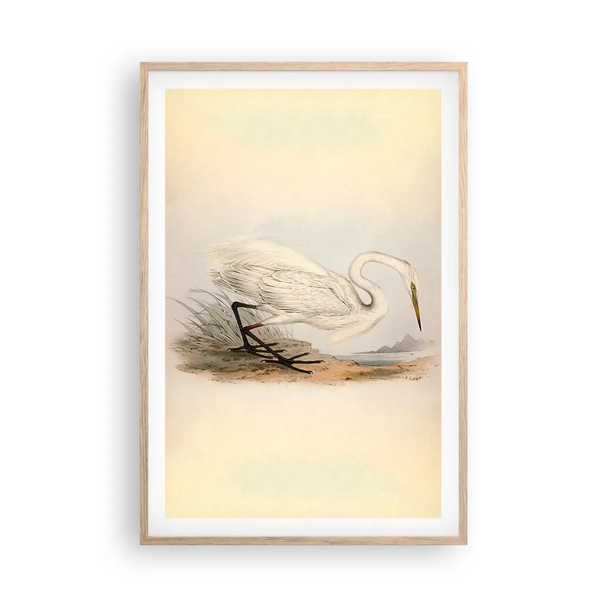 Poster in einem Rahmen aus heller Eiche - Dame auf den Binsen - 61x91 cm