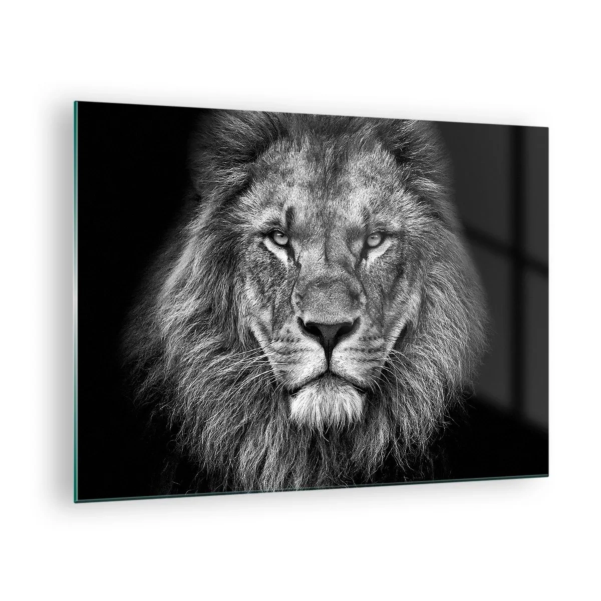 Glasbild - Bild auf glas - Porträt eines Löwen in Schwarz-Weiß mit majestätischer Mähne - 70x50cm - Im Krönungsgewand - Moderne Wanddekoration für Wohnzimmer und Schlafzimmer ARTTOR