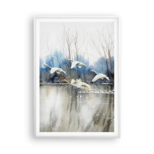 Poster in einem weißen Rahmen - Wie im Märchen von den wilden Schwänen - 70x100 cm