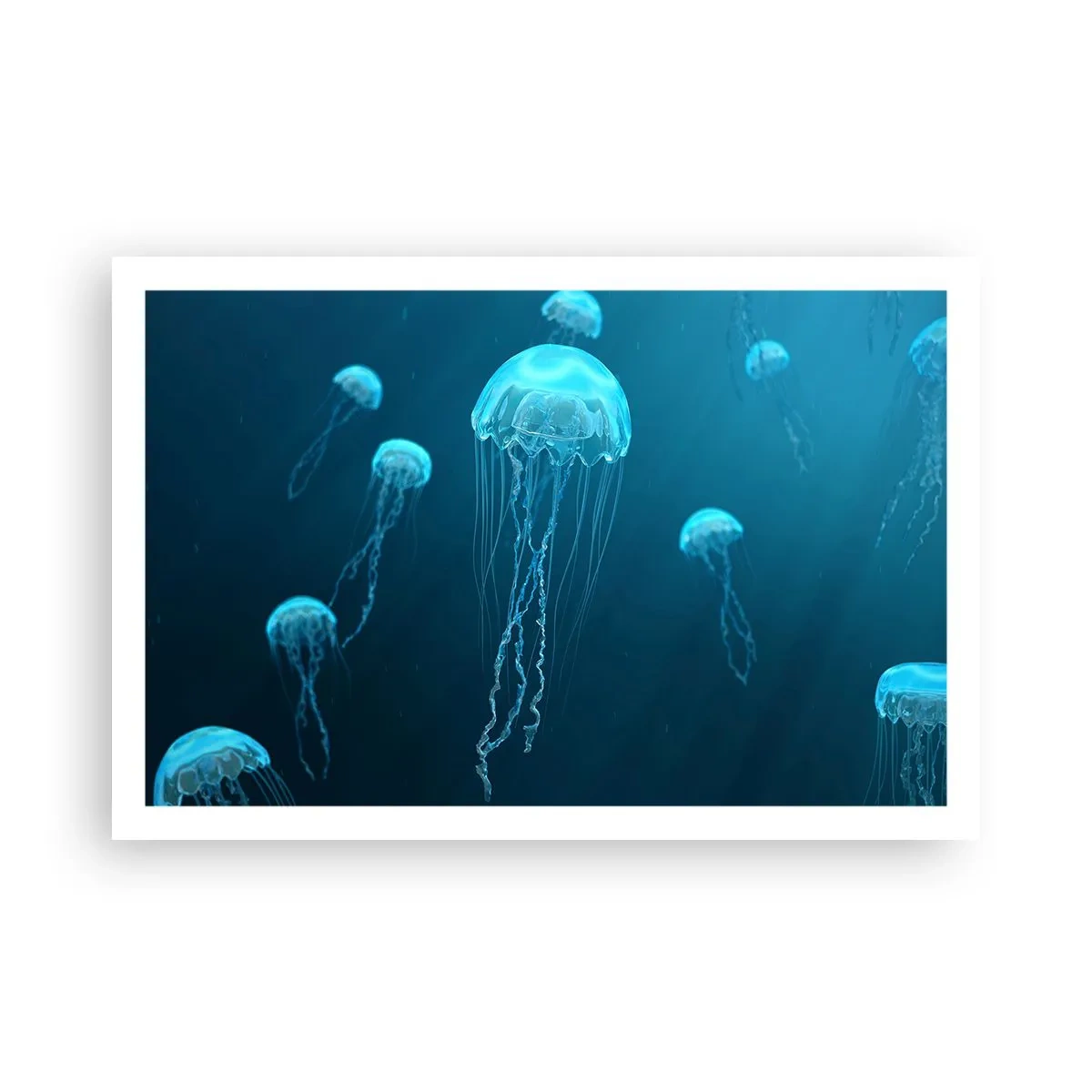 Poster - Ozeantanz - 91x61 cm