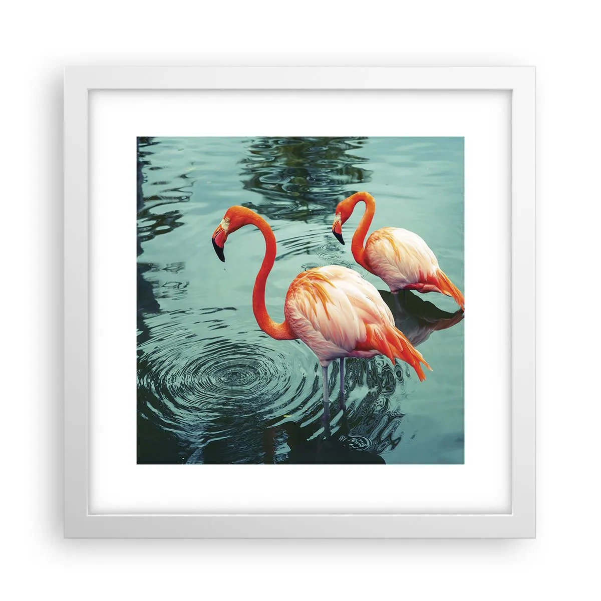 Poster in einem weißen Rahmen - Wir sind jetzt in Mode - 30x30 cm