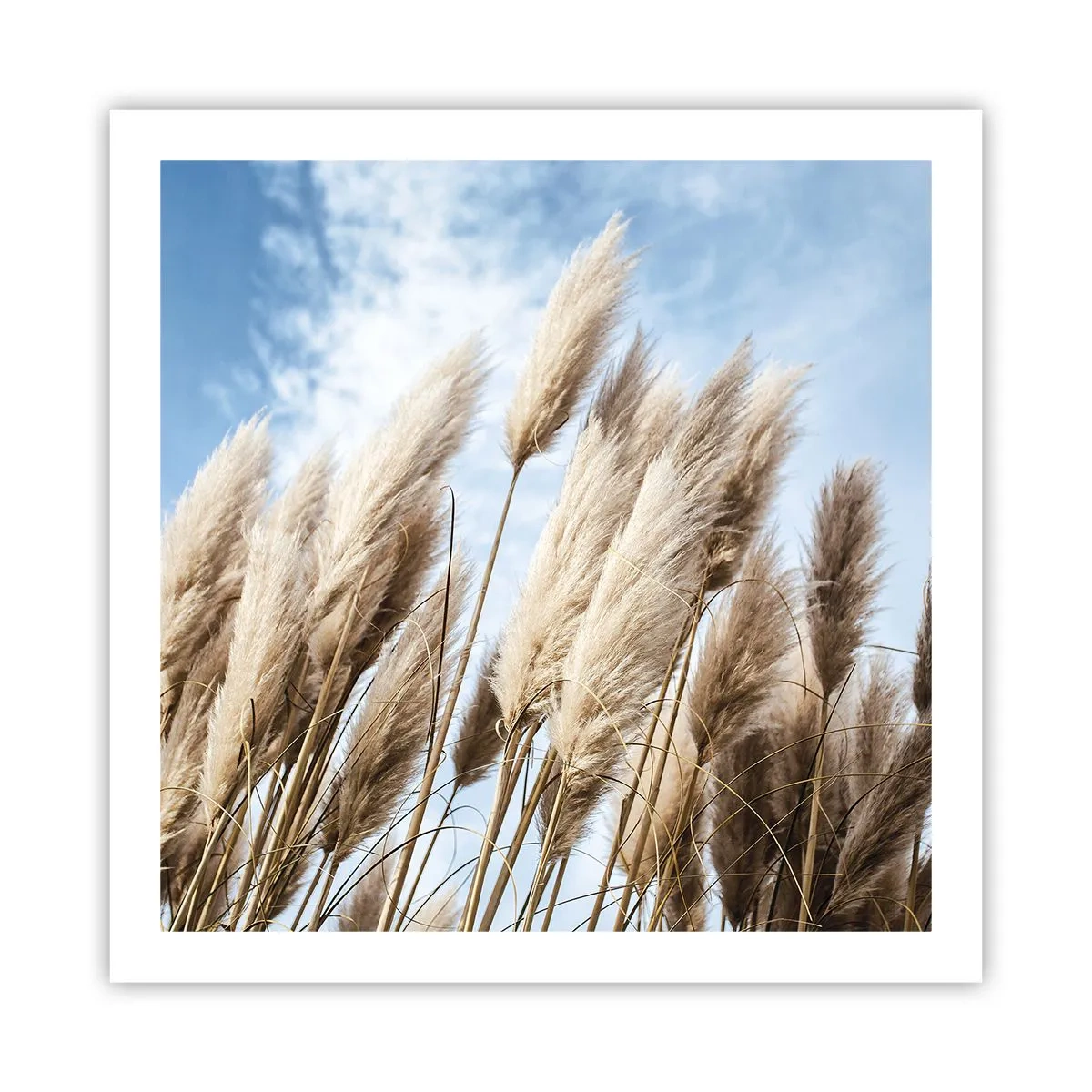 Poster - Sonnige und windige Liebkosungen - 60x60 cm