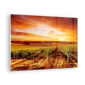 Glasbild - Bild auf glas - Weinreben auf einem Feld bei Sonnenuntergang - 70x50cm - Leicht fruchtig mit einem Hauch Sonnenschein - Moderne Wanddekoration für Wohnzimmer und Schlafzimmer ARTTOR