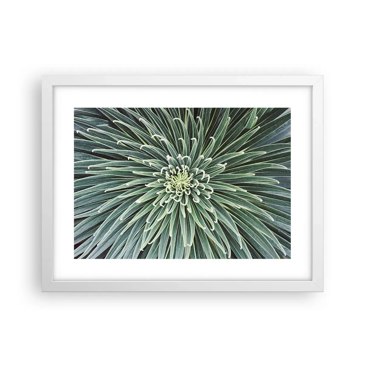 Poster in einem weißen Rahmen - Ein Star ist geboren - 40x30 cm