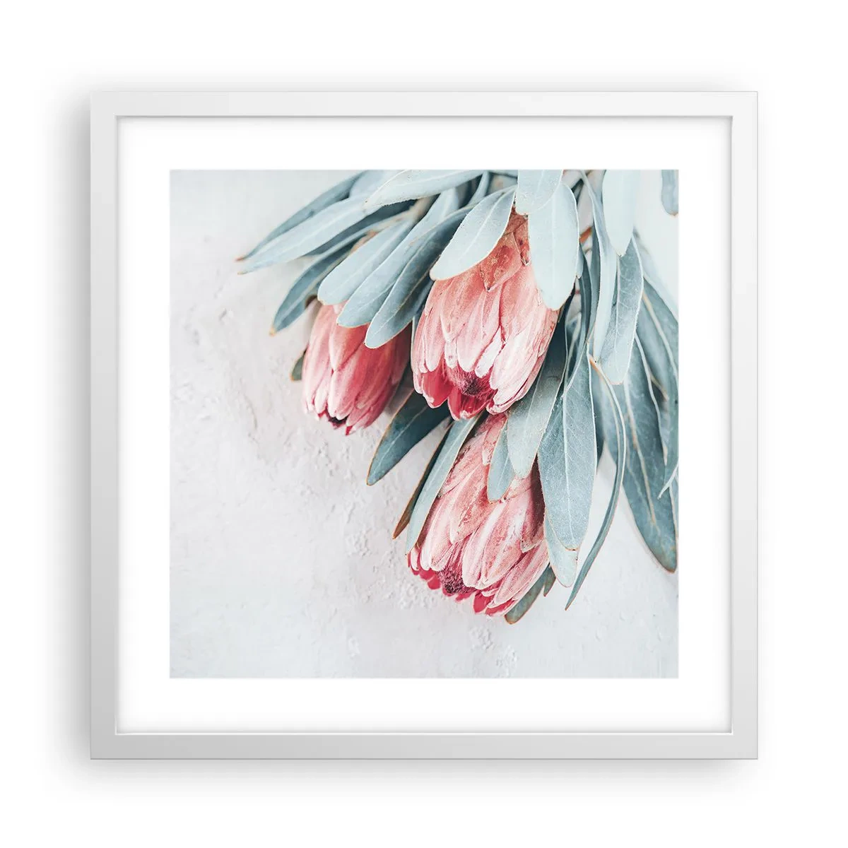 Poster in einem weißen Rahmen - Schämen sich für ihre eigene Schönheit - 40x40 cm