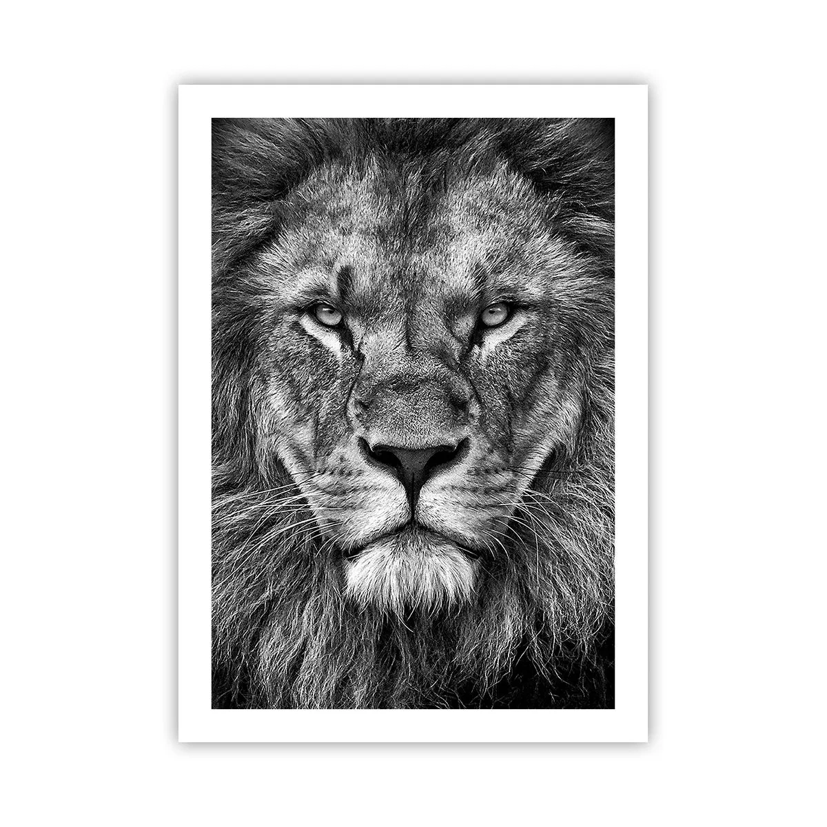 Poster - Schwarz-Weiß-Porträt eines majestätischen Löwen - 50x70cm - Im Krönungsgewand - Moderne Wanddekoration für Wohnzimmer und Schlafzimmer ARTTOR