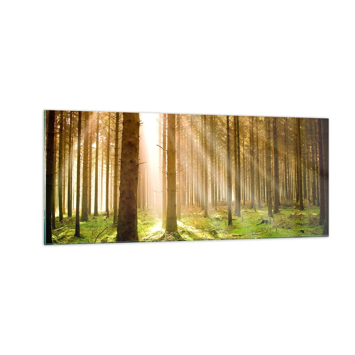 Glasbild - Bild auf glas - Die Elfen werden bald erscheinen - 100x40 cm