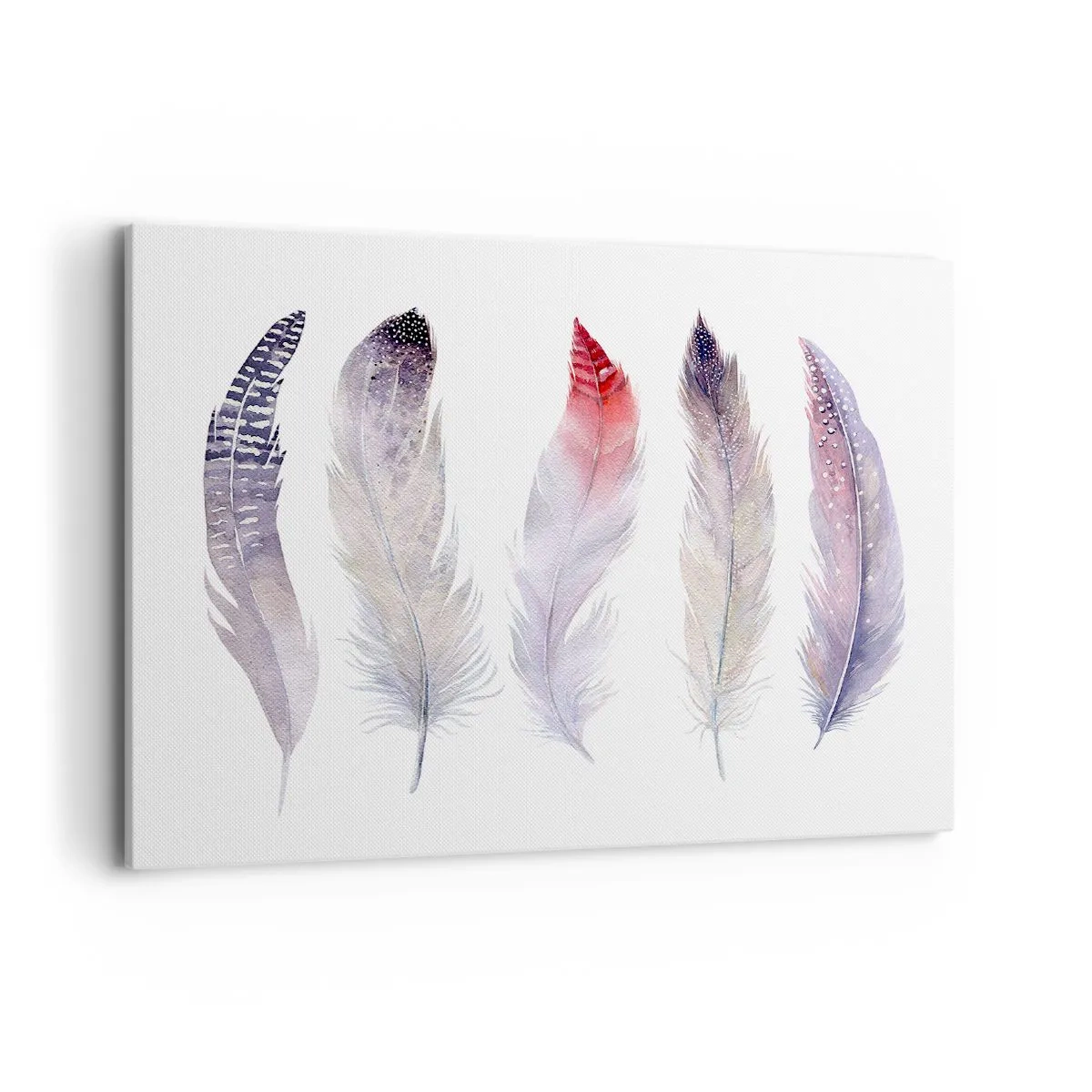 Bild auf Leinwand - Leinwandbild - Fünf zarte Federn in Pastelltönen auf hellem Untergrund - 100x70cm - Zart wie mehrfarbiger Nebel - Moderne Wanddekoration für Wohnzimmer und Schlafzimmer ARTTOR