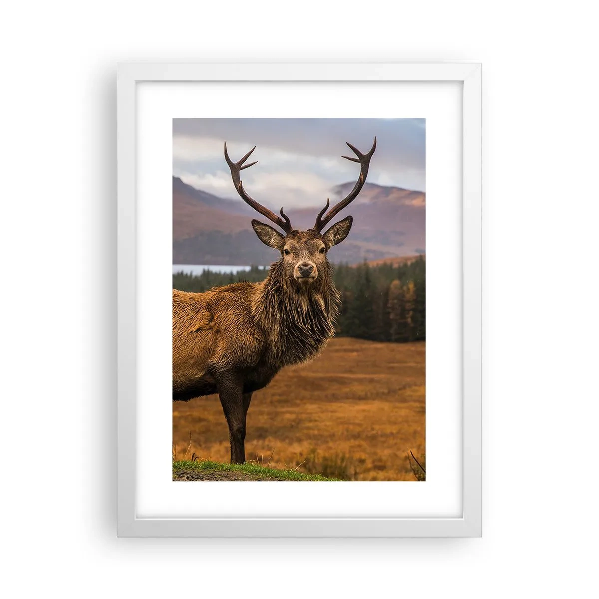 Poster in einem weißen Rahmen - Die Majestät der Natur - 30x40 cm